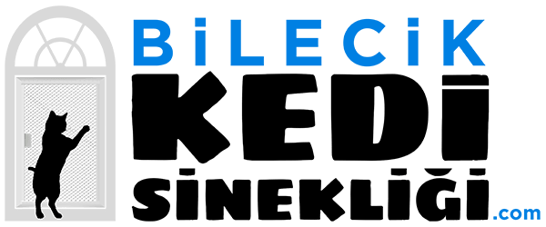 bilecik kedi sinekligi logo-site