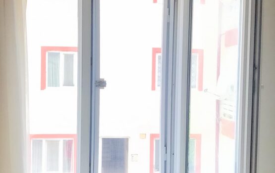 ice acilir model bilecik kedi sinekligi