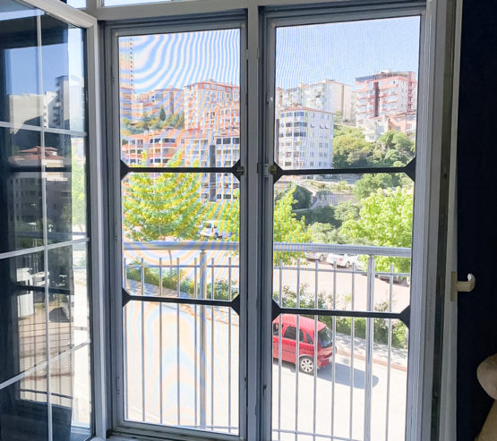 bilecik kedi sinekligi fransiz cam (1)