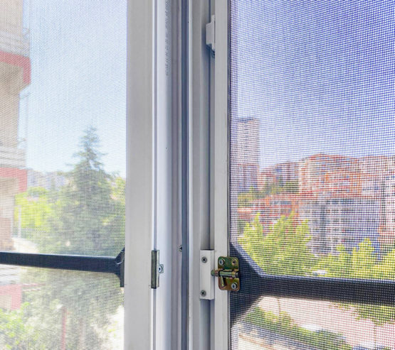 bilecik kedi sinekligi fransiz cam (7)